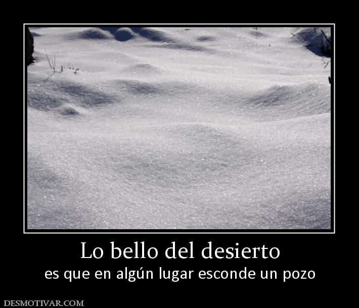 Lo bello del desierto es que en algún lugar esconde un pozo