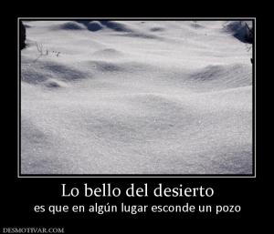 Lo bello del desierto es que en algún lugar esconde un pozo