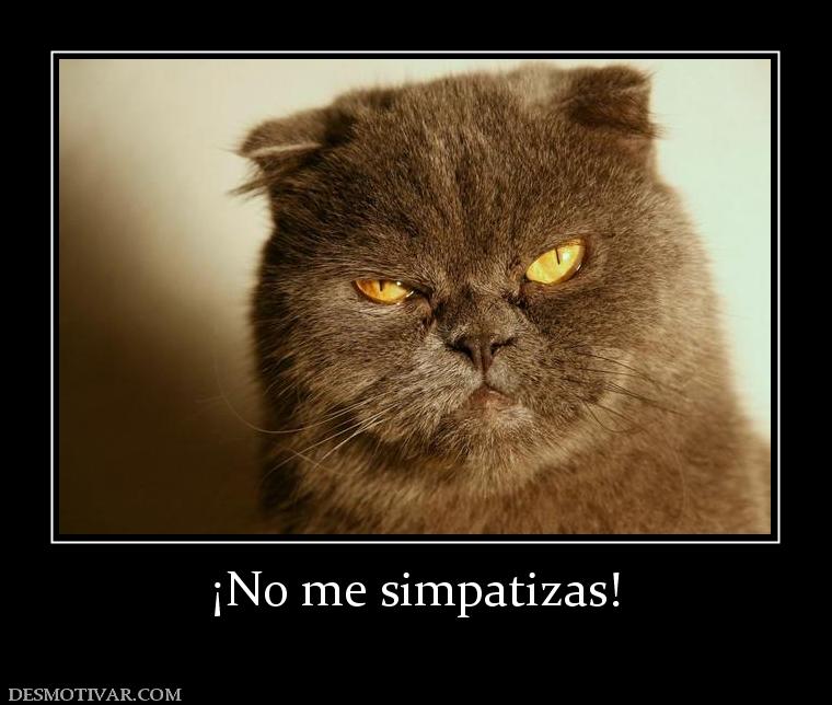 ¡No me simpatizas!