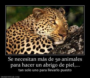 Se necesitan más de 50 animales para hacer un abrigo de piel,... tan solo uno para llevarlo puesto