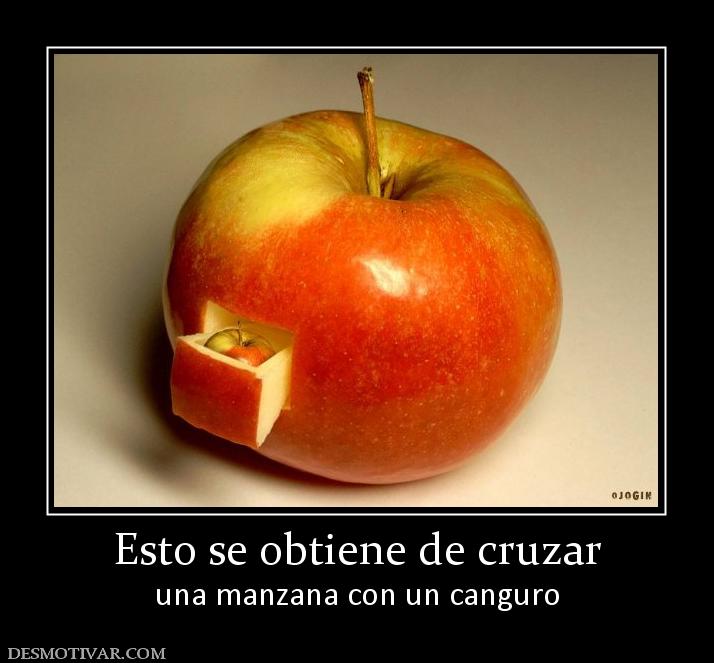 Esto se obtiene de cruzar una manzana con un canguro