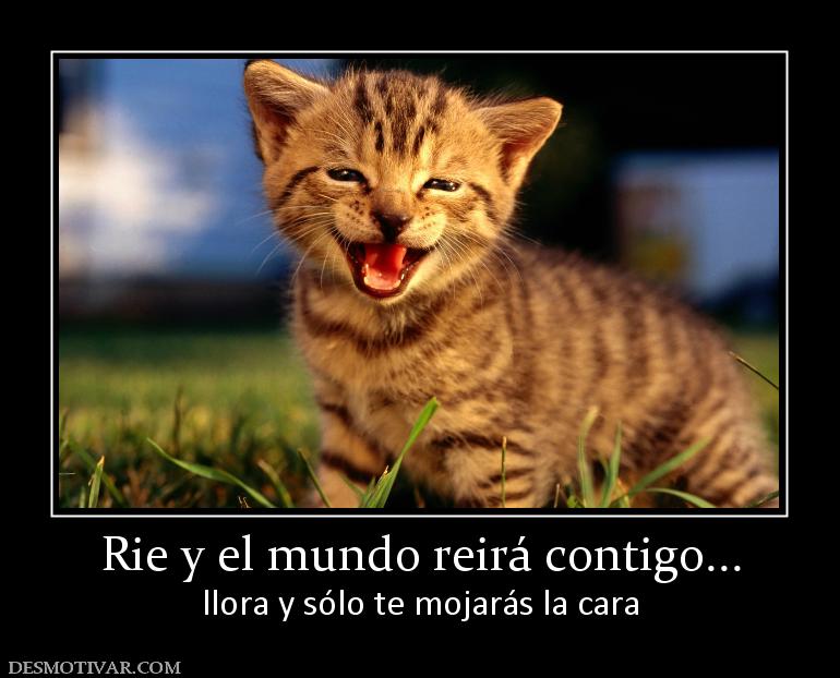 Rie y el mundo reirá contigo... llora y sólo te mojarás la cara