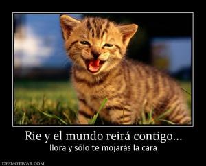 Rie y el mundo reirá contigo... llora y sólo te mojarás la cara