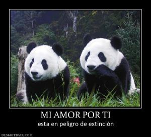 MI AMOR POR TI esta en peligro de extinción