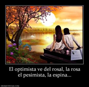 El optimista ve del rosal, la rosa el pesimista, la espina...