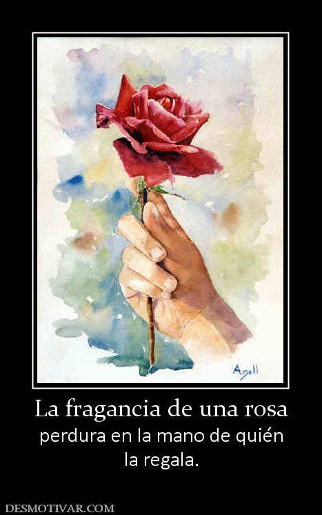 La fragancia de una rosa perdura en la mano de quién la regala.