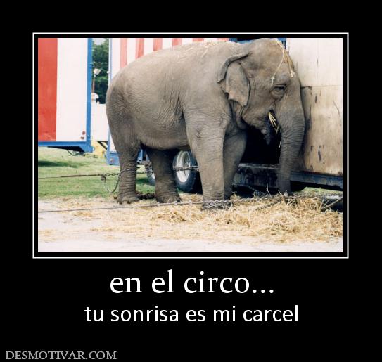 en el circo... tu sonrisa es mi carcel