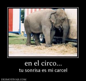en el circo... tu sonrisa es mi carcel