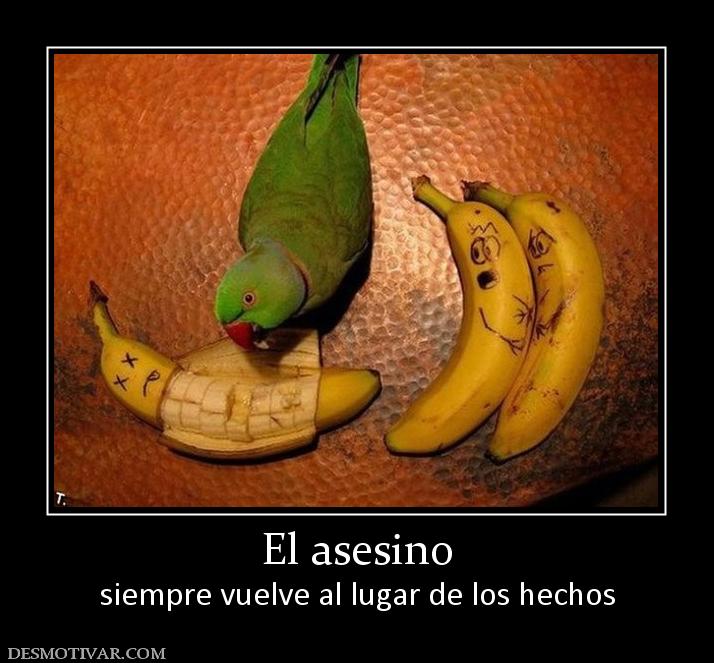 El asesino siempre vuelve al lugar de los hechos