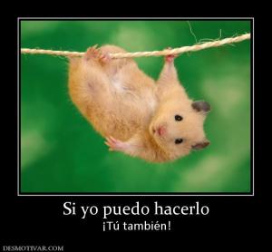 Si yo puedo hacerlo ¡Tú también!