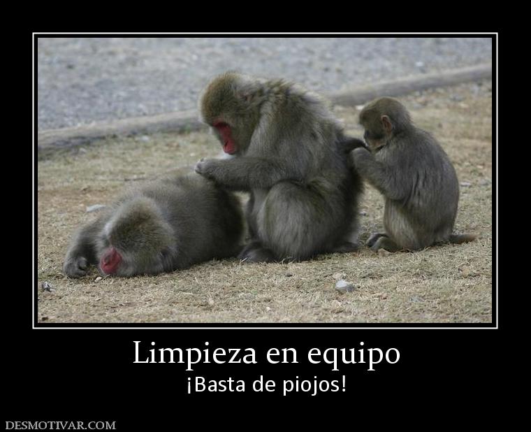 Limpieza en equipo ¡Basta de piojos!