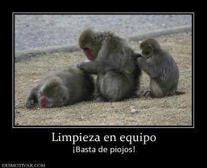 Limpieza en equipo ¡Basta de piojos!