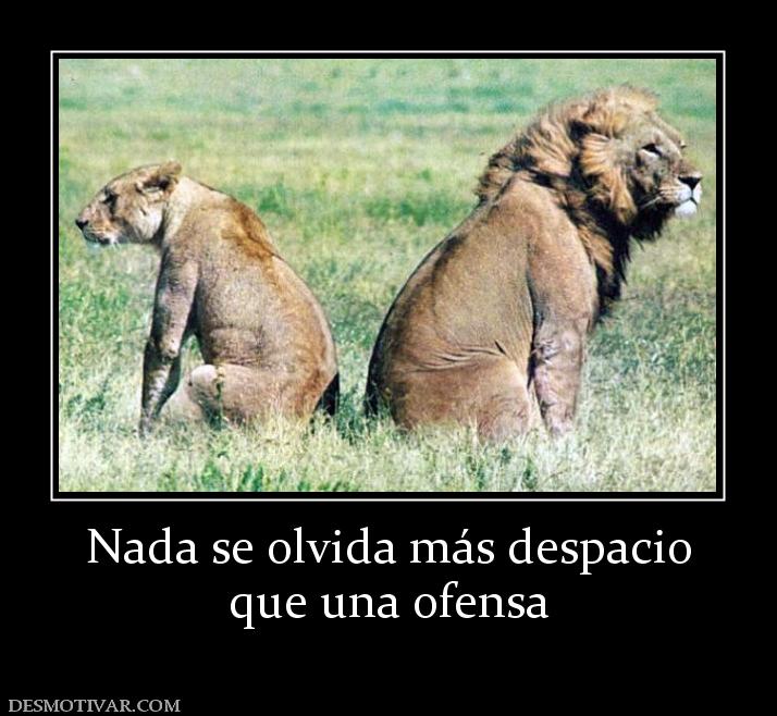 Nada se olvida más despacio que una ofensa