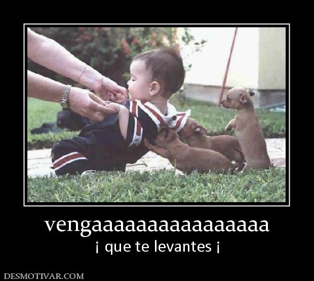 vengaaaaaaaaaaaaaaaa ¡ que te levantes ¡