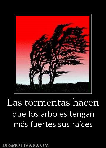 Las tormentas hacen que los arboles tengan más fuertes sus raíces