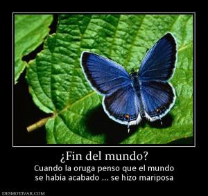 ¿Fin del mundo? Cuando la oruga penso que el mundo se había acabado ... se hizo mariposa