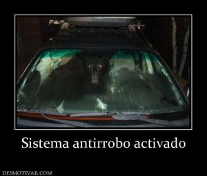 Sistema antirrobo activado
