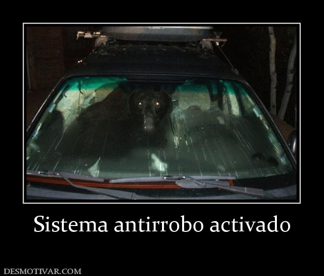Sistema antirrobo activado