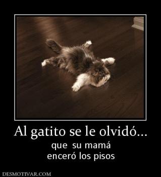 Al gatito se le olvidó... que  su mamá enceró los pisos