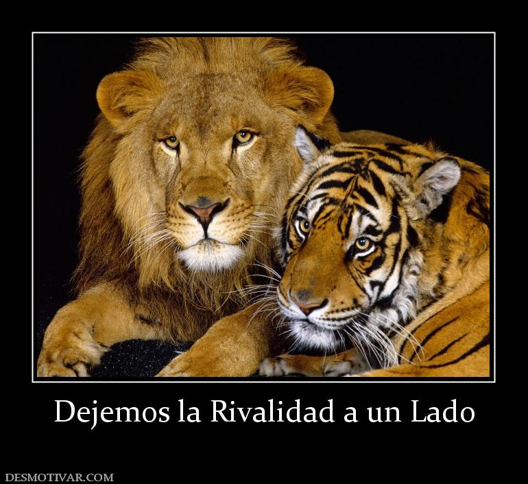 Dejemos la Rivalidad a un Lado