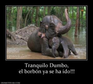 Tranquilo Dumbo, el borbón ya se ha ido!!!
