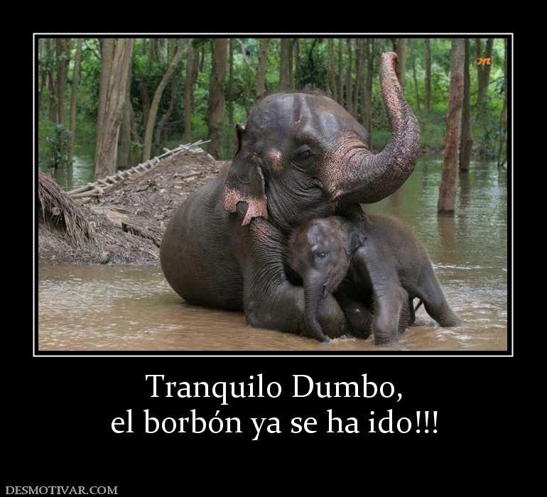Tranquilo Dumbo, el borbón ya se ha ido!!!