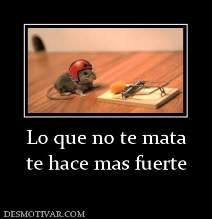 Lo que no te mata te hace mas fuerte