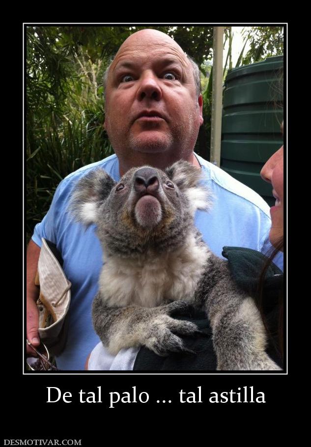De tal palo ... tal astilla