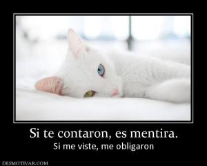 Si te contaron, es mentira. Si me viste, me obligaron