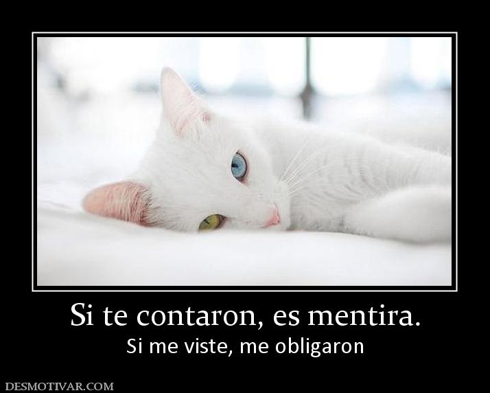 Si te contaron, es mentira. Si me viste, me obligaron