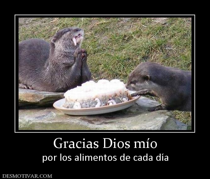 Gracias Dios mío por los alimentos de cada día