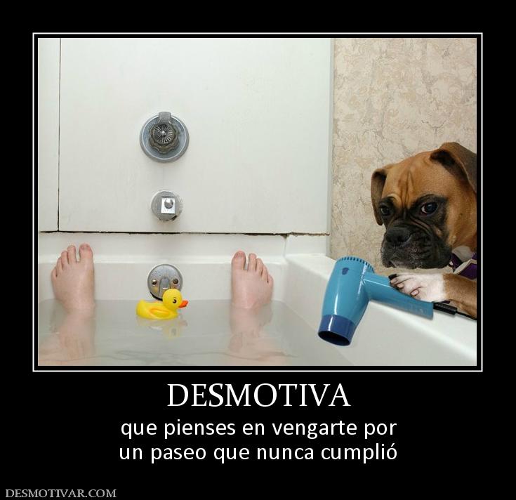 DESMOTIVA que pienses en vengarte por un paseo que nunca cumplió