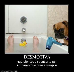 DESMOTIVA que pienses en vengarte por un paseo que nunca cumplió