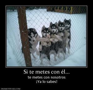 Si te metes con él... te metes con nosotros ¡Ya lo sabes!