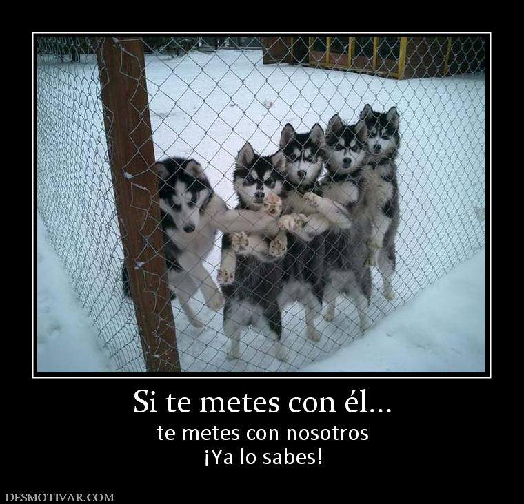 Si te metes con él... te metes con nosotros ¡Ya lo sabes!