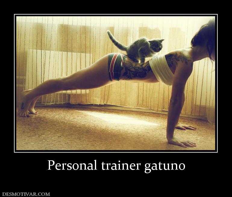 Personal trainer gatuno