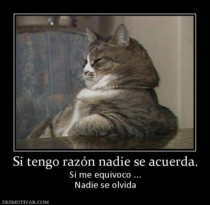 Si tengo razón nadie se acuerda. Si me equivoco ... Nadie se olvida