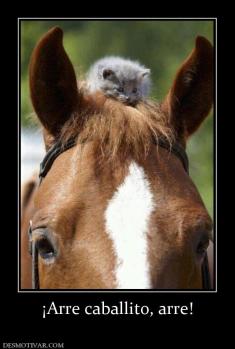 ¡Arre caballito, arre!