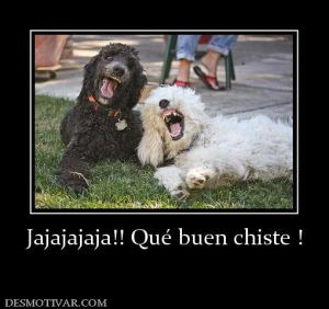 Jajajajaja!! Qué buen chiste !