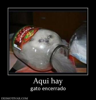 Aqui hay gato encerrado