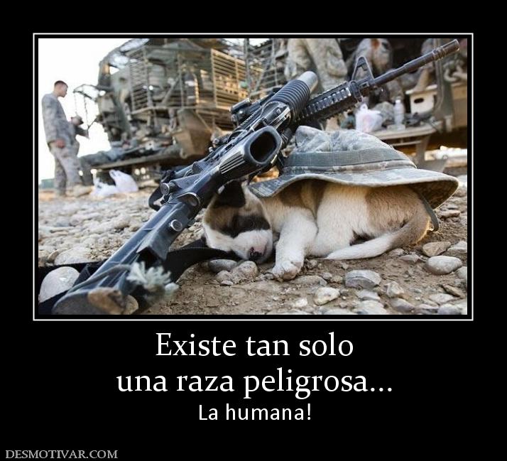 Existe tan solo una raza peligrosa... La humana!