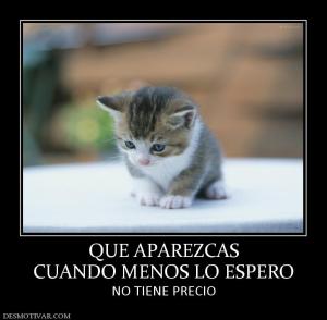 QUE APAREZCAS CUANDO MENOS LO ESPERO NO TIENE PRECIO