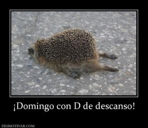 ¡Domingo con D de descanso!