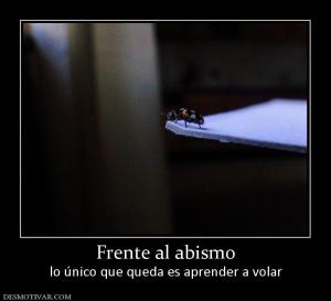 Frente al abismo lo único que queda es aprender a volar