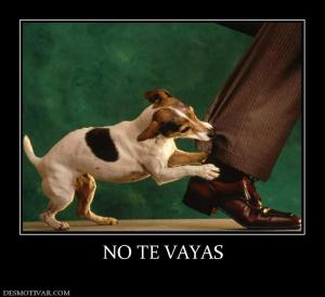 NO TE VAYAS