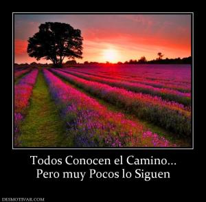 Todos Conocen el Camino... Pero muy Pocos lo Siguen