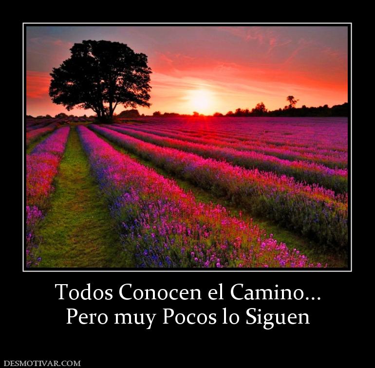 Todos Conocen el Camino... Pero muy Pocos lo Siguen