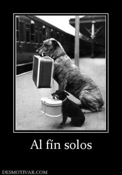 Al fín solos