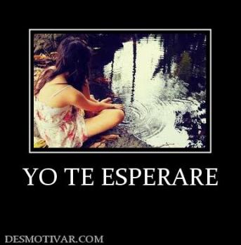 YO TE ESPERARE