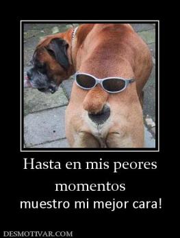 Hasta en mis peores momentos muestro mi mejor cara!